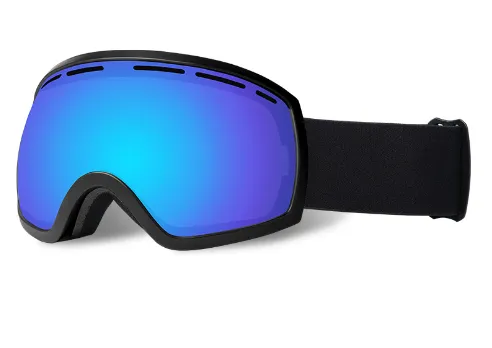 Large Spherical Ski Goggles - Image 4