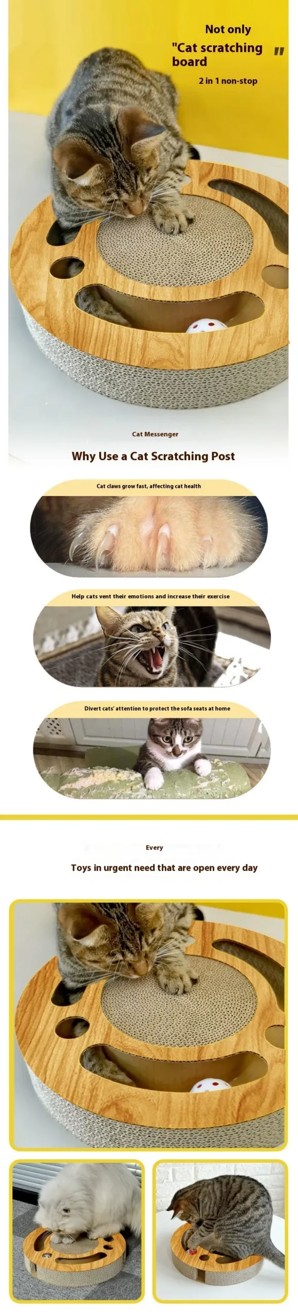 Cat Scratch Puzzle Box - Image 3