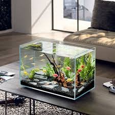 Super White Glass Fish Tank Household Desk